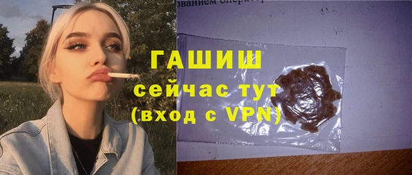 спиды Тайга