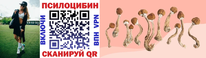 Галлюциногенные грибы Magic Shrooms Чудово